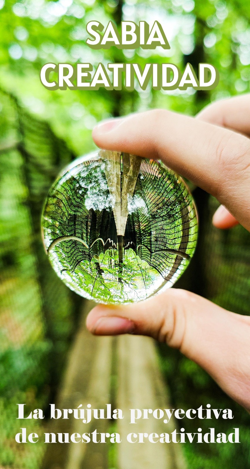 Curso Sabia C<br />
reatividad psiquesocial