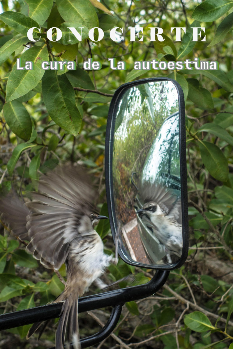 Curso conocerte psiquesocial