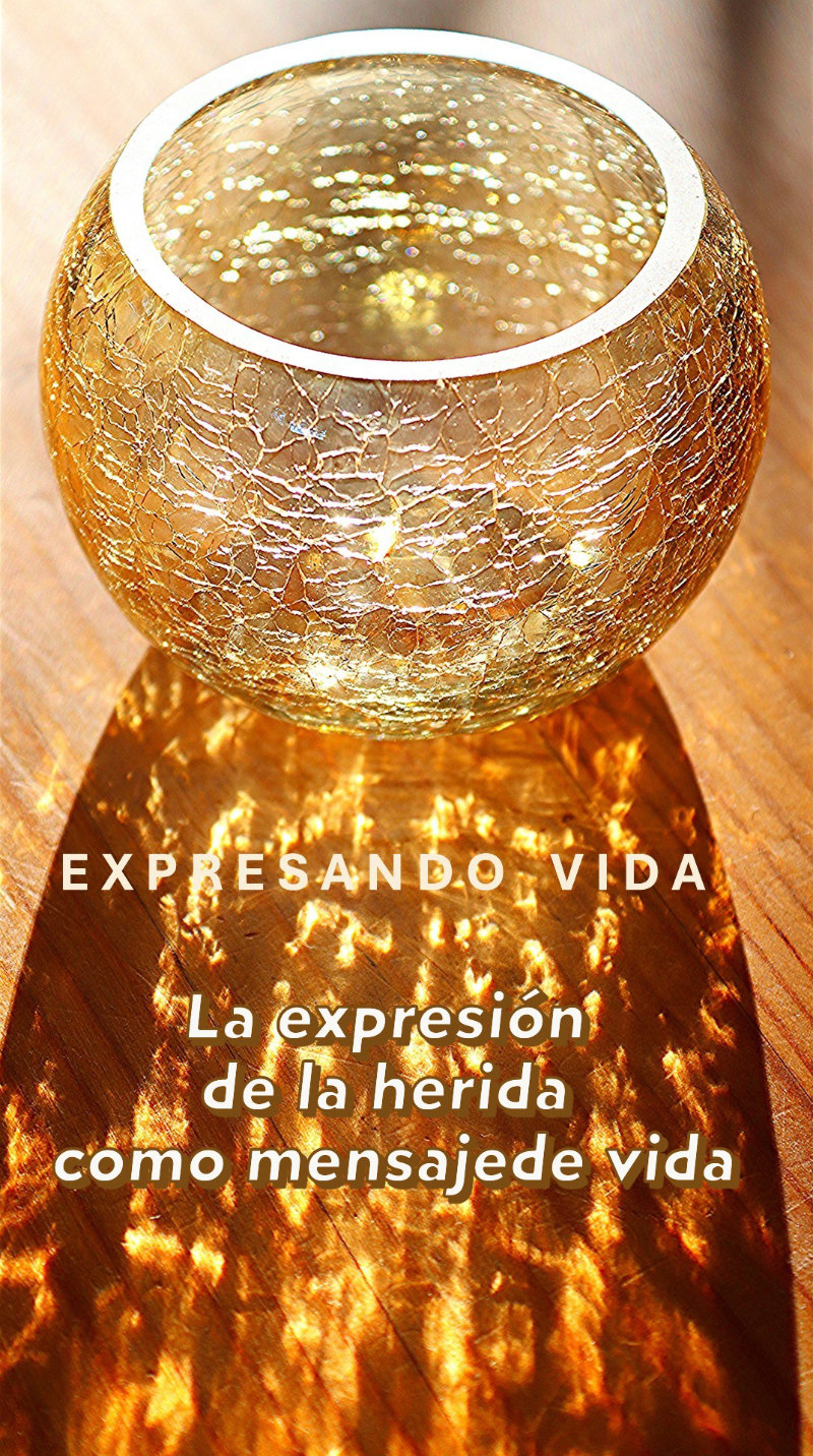 Curso EXPRESANDO VIDA psiquesocial